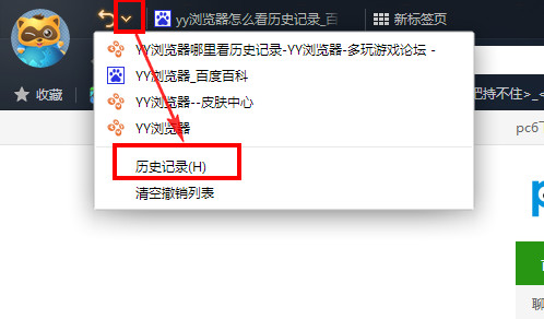 yy瀏覽器如何查看歷史記錄？yy瀏覽器看歷史記錄的圖文教程