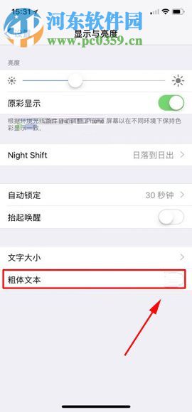 蘋果iPhone X設(shè)置粗體字體的圖文教程