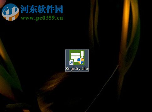 Registry Life清理注冊(cè)表文件的方法