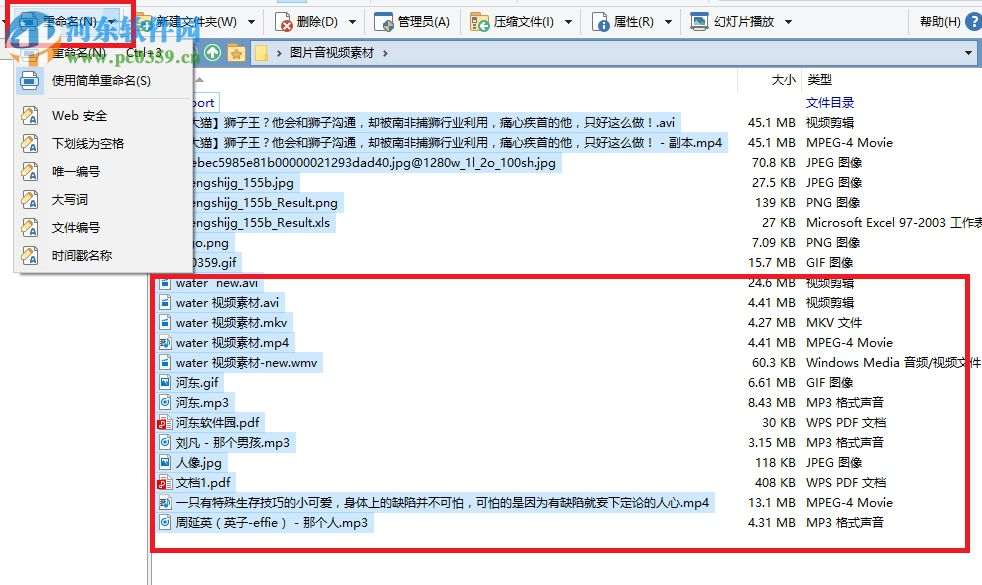 directory opus 12批量重命名的操作教程