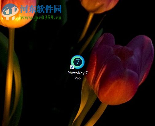 FXhome PhotoKey給圖片添加特效的方法