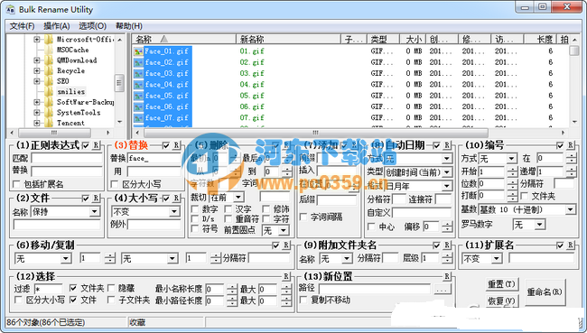 Bulk Rename Utility(文件更名工具) 2.7.1.3 免費(fèi)版