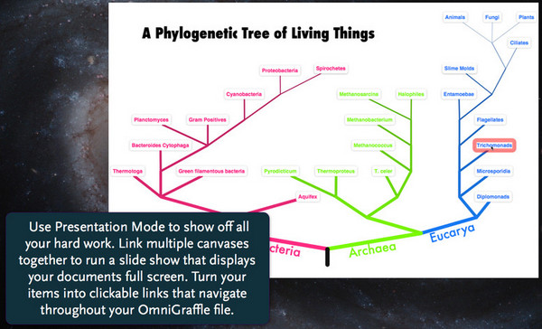 Omnigraffle pro for mac版 6.5.1