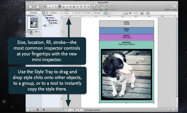 Omnigraffle pro for mac版 6.5.1