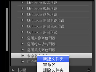 Lightroom預設渲染 mac版下載 1.0