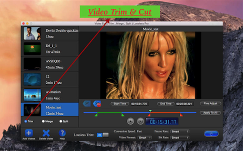 Video Edit Lossless Lite for Mac版 3.1.6