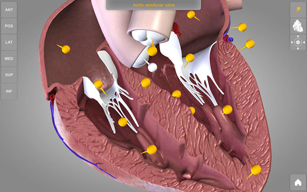 心臟三維解剖圖Mac版 1.0.5