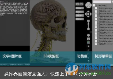 3dbody6.0中文版下載 免費版