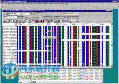 分子生物學應用軟件(Bioedit) 7.0.9.0 漢化純凈安裝版