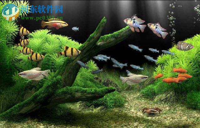 夢幻水族館屏保下載 1.234 中文免費(fèi)版