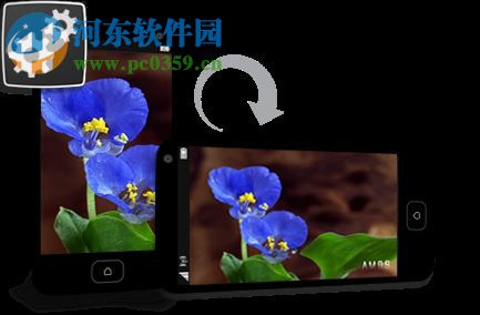 DivX Plus(高清播放器) 10.8.7 多國語言版