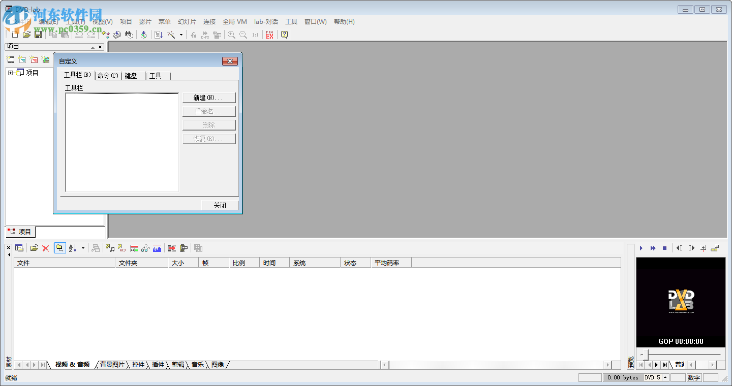 dvdlab pro下載(附序列號注冊碼) 2.51 中文專業(yè)版