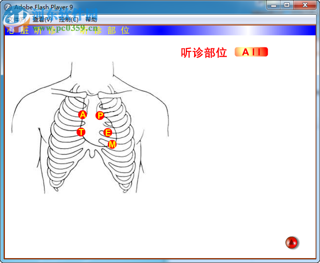 心臟聽診軟件 1.0 綠色版