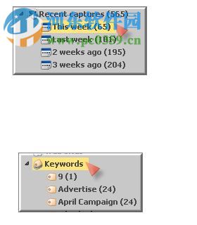 SnagIt V8下載 漢化免費(fèi)版