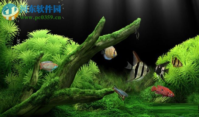 3D夢(mèng)幻水族館動(dòng)態(tài)壁紙(dream aquarium)下載 1.234 漢化版