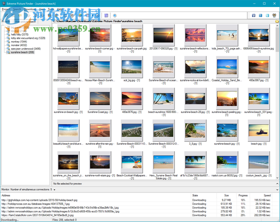 Extreme Picture Finder網(wǎng)站圖片下載器 3.42.4 免費(fèi)版