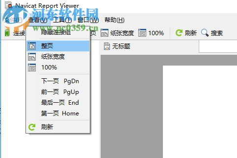 navicat report viewer漢化版(附注冊機) 11.1.13 簡體中文版