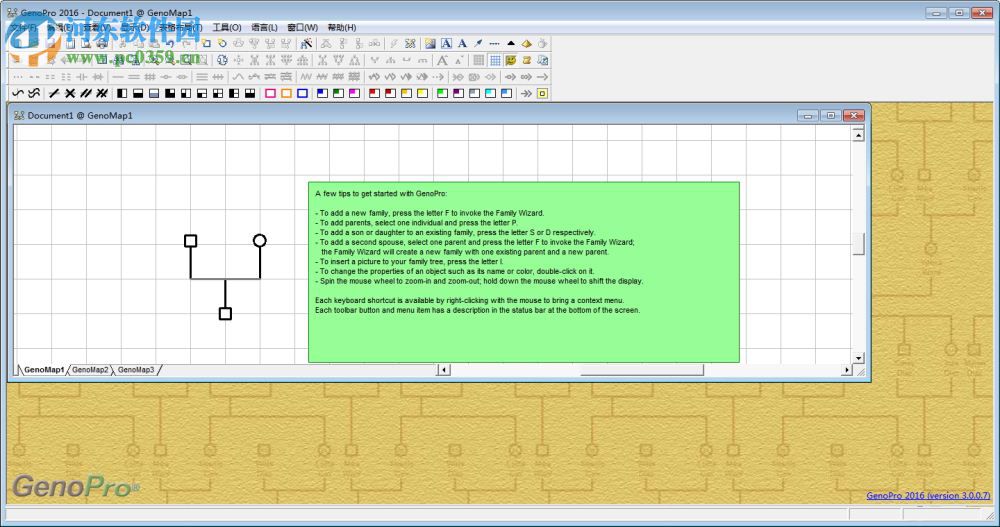 GenoPro2019(族譜制作軟件) 下載 3.0.1.5 中文免費版