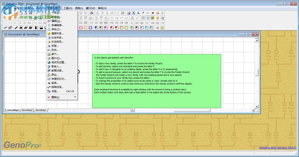 GenoPro2019(族譜制作軟件) 下載 3.0.1.5 中文免費版