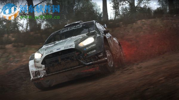 塵埃4(DiRT 4) 4.0 中文版