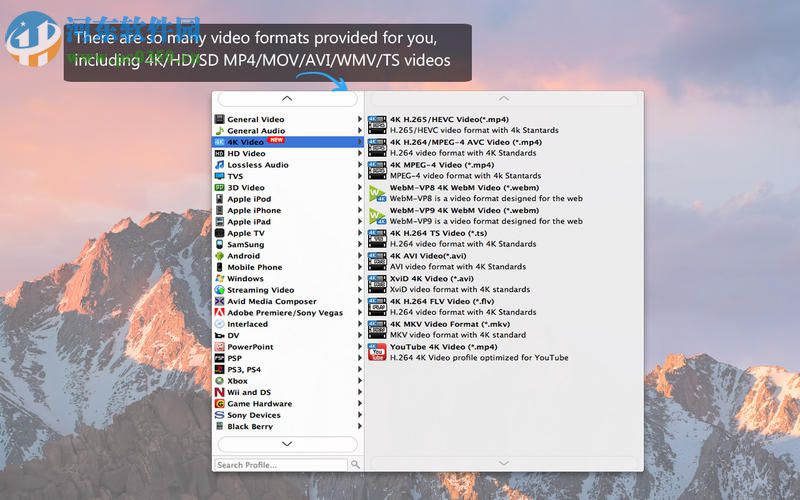4K UHD Converter for Mac（4k視頻轉(zhuǎn)換軟件） 6.5.59
