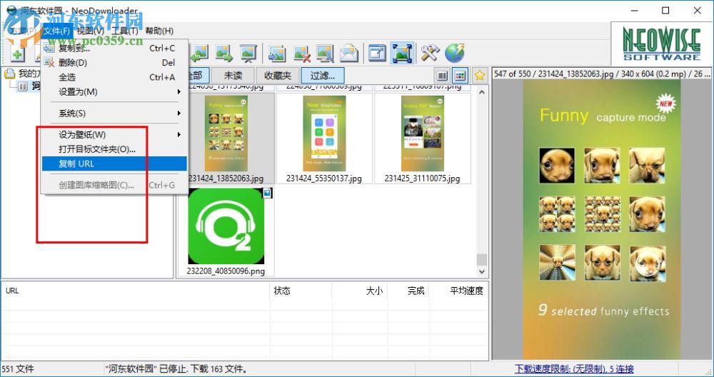 neodownloader下載(網(wǎng)頁圖片批量下載工具) 2.9.5.191 綠色版