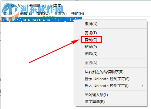 Bot Vice 1.0 英文版