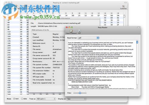 Peep for mac（文件編碼轉(zhuǎn)換工具） 2.3.1