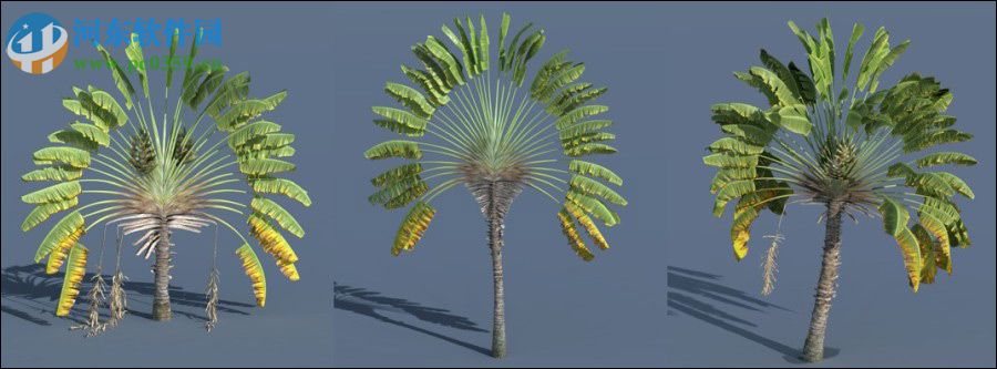 Plant Factory 2016 r2(3D植物建模軟件) 官方版