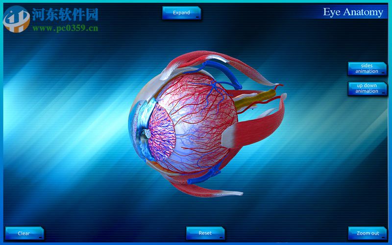 Eye Anatomy 3D for mac(眼睛3D解剖模擬軟件) 1.0 官方版