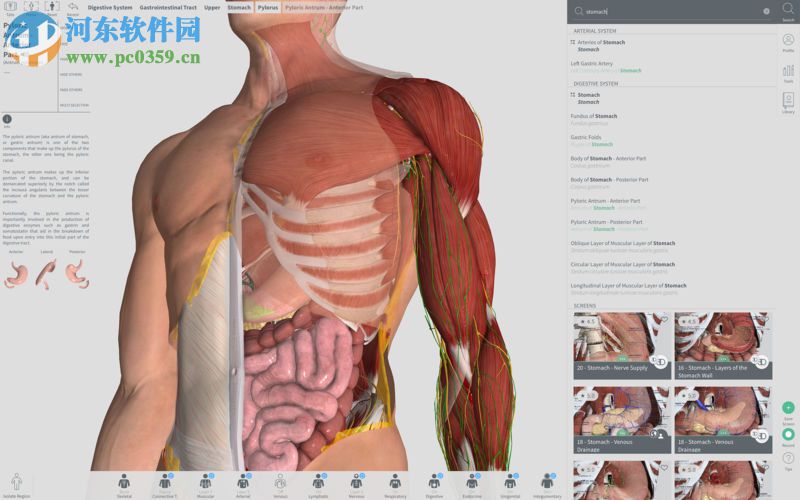 complete anatomy for mac(3d人體解剖學軟件) 3.1.1 免費版