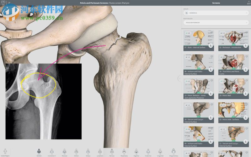 complete anatomy for mac(3d人體解剖學軟件) 3.1.1 免費版