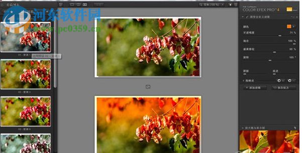 Nik Color Efex Pro 3(PS圖像調(diào)色濾鏡) 3.0 綠色版