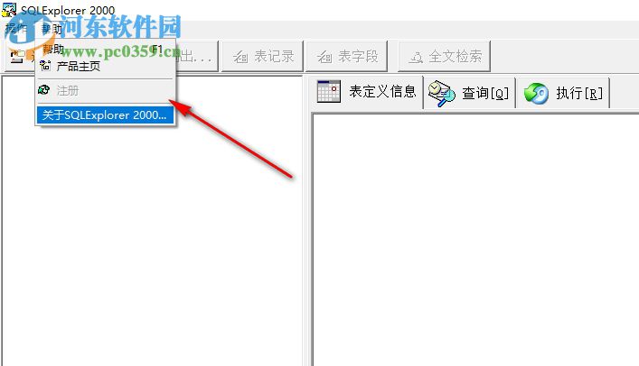 SQLExplorer 2000下載(數據庫管理工具) 3.0 綠色中文版