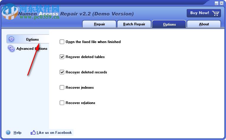 DataNumen Access Repair(access修復(fù)工具)