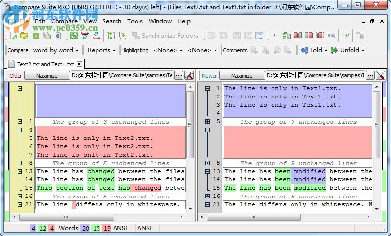 Compare Suit下載(文件對比工具) 8.4.0.0 破解版