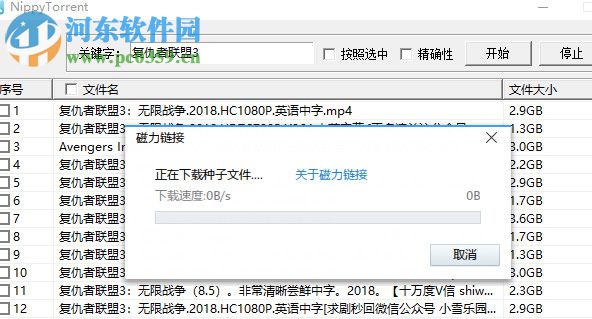 NippyTorrent(視頻批量下載工具) 2.18.1.0 綠色版