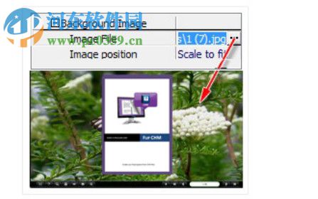 Boxoft CHM to Flipbook(CHM轉(zhuǎn)電子翻書工具) 1.0 官方版