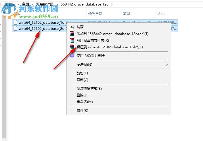 Oracle Database 12c下載(32/64位) 12.2.0.1.0 官方中文版