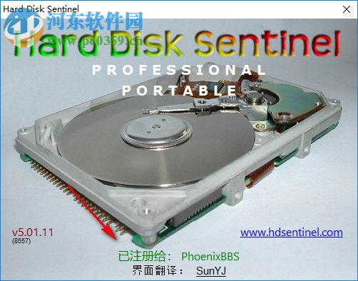 Hard Disk Sentinel Pro 5.20.5 中文破解版