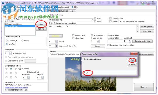 TSR Watermark Image Software(圖片添加水印) 3.5.9.5 中文注冊版