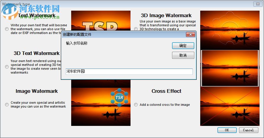 TSR Watermark Image Software(圖片添加水印) 3.5.9.5 中文注冊版