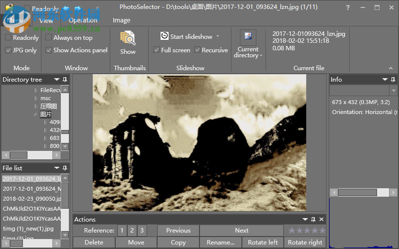 Brain2CPU PhotoSelector(圖像管理軟件) 9.3 破解版