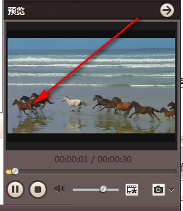 4Media iPhone Video Converter 7.8.23 中文破解版