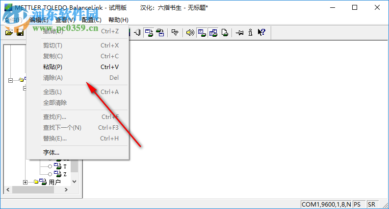 BalanceLink(數(shù)據(jù)采集分析) 4.1.1 中文免費(fèi)版