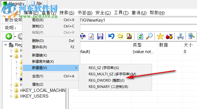 注冊表編輯器(Registrar Registry Manager Pro) 8.50.31226 中文版