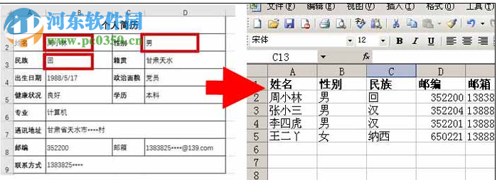 Word文檔提取匯總工具