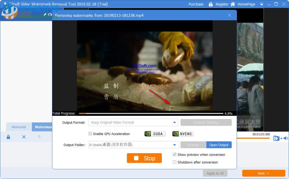 Gilisoft Video Watermark Removal Tool(視頻水印刪除工具)