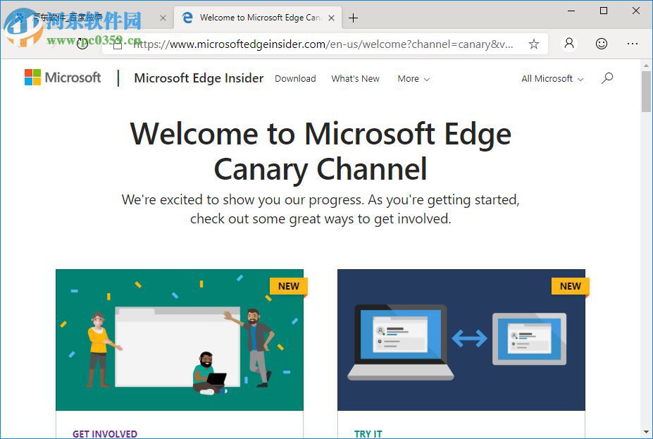 Microsoft Edge Canary(Chromium Edge金絲雀版)