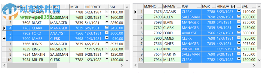 PL/SQL Developer中文版 13.0.4.1906 免費版